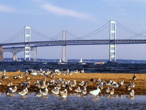 Chesapeake_Bay_Bridge