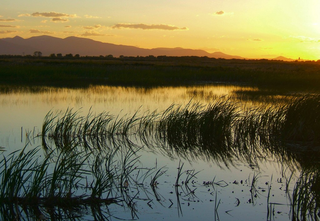 Wetland Finance Tool for Local Governments